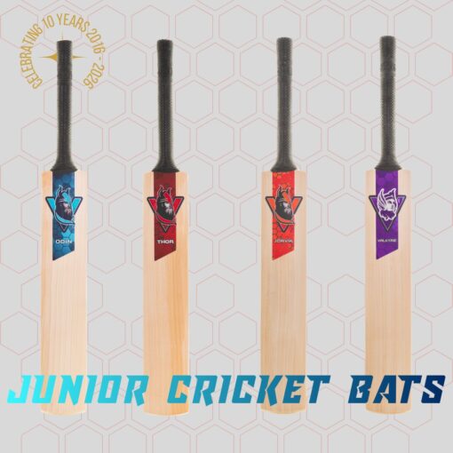 JUNIOR CRICKET BATS