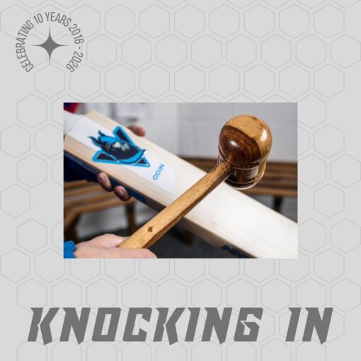 BAT KNOCKING IN SERVICE